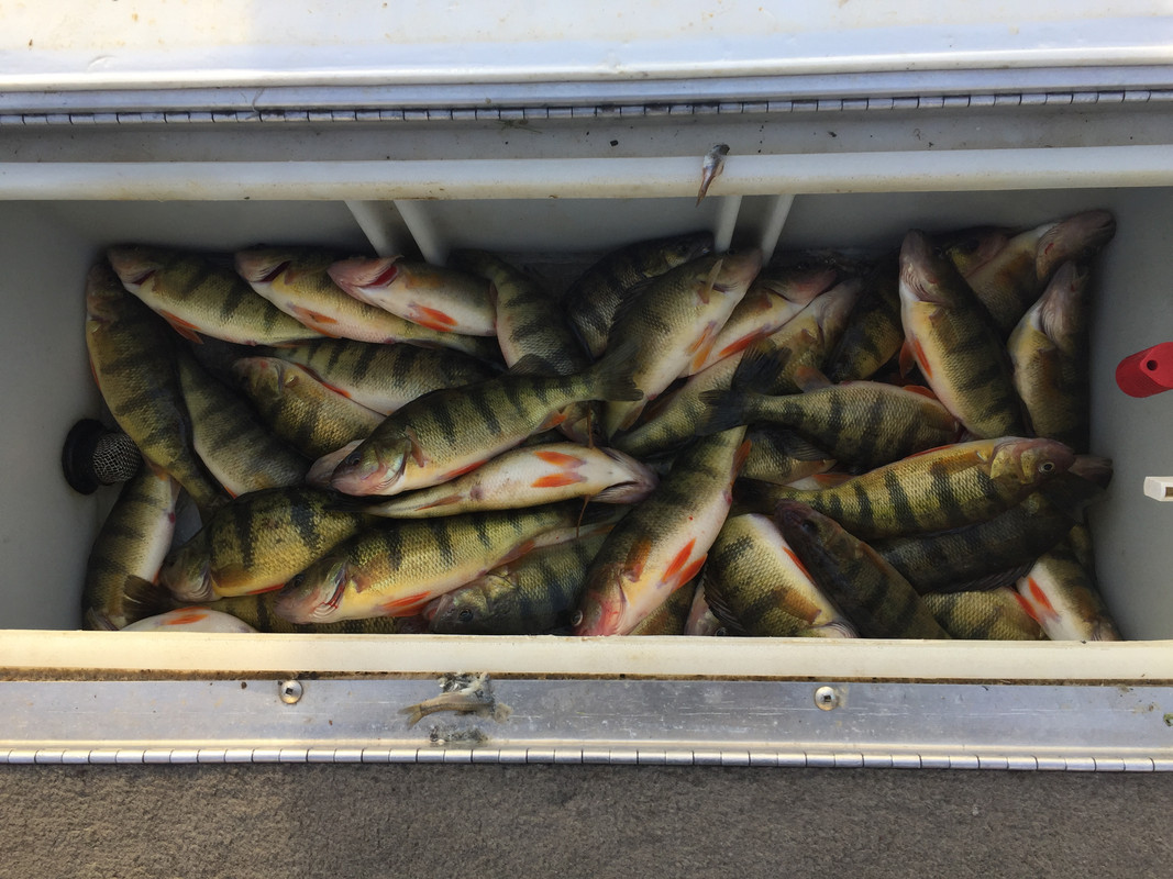 F73EDAA5-D389-485F-9852-9ECCFE5BD61D