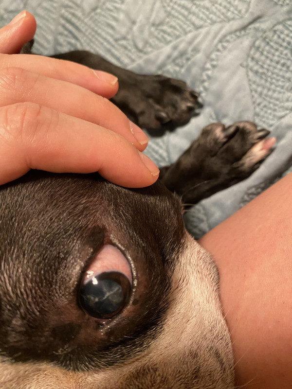 CE233DA8-B892-4D46-8DA4-9C7468E32DD2