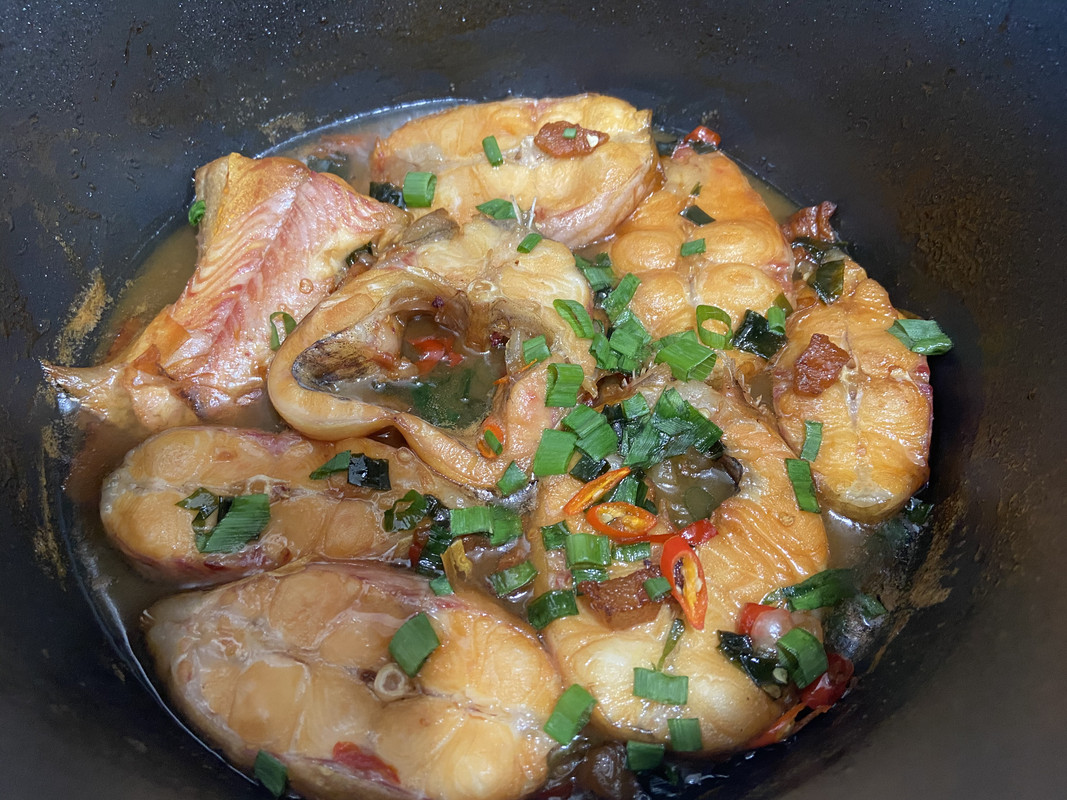 F4BE6DD0-D026-4A50-8B84-EB93F4495F66