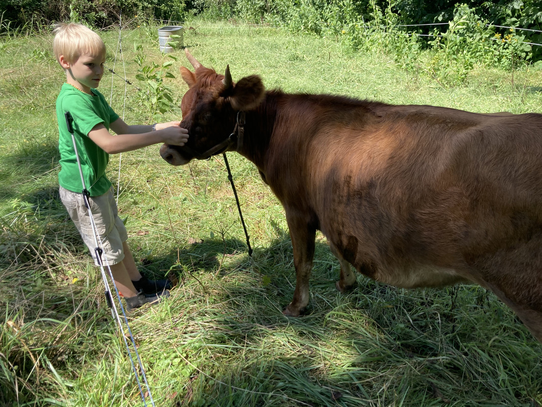 EAD2CA0C-376D-43DD-A653-EB150B317DE5