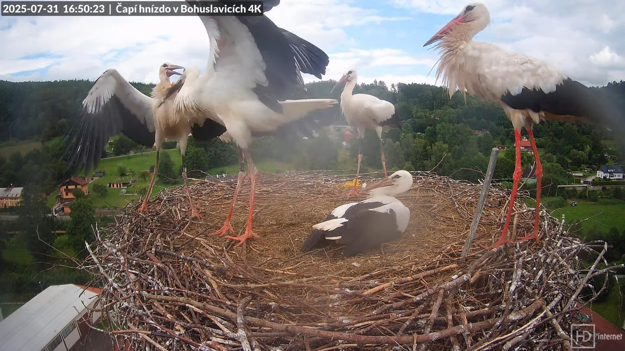 Tiešraide no KARA uzņēmuma stārķu skursteņa Bohuslavicē netālu no Trutnovas 13-12-28 screenshot (1)