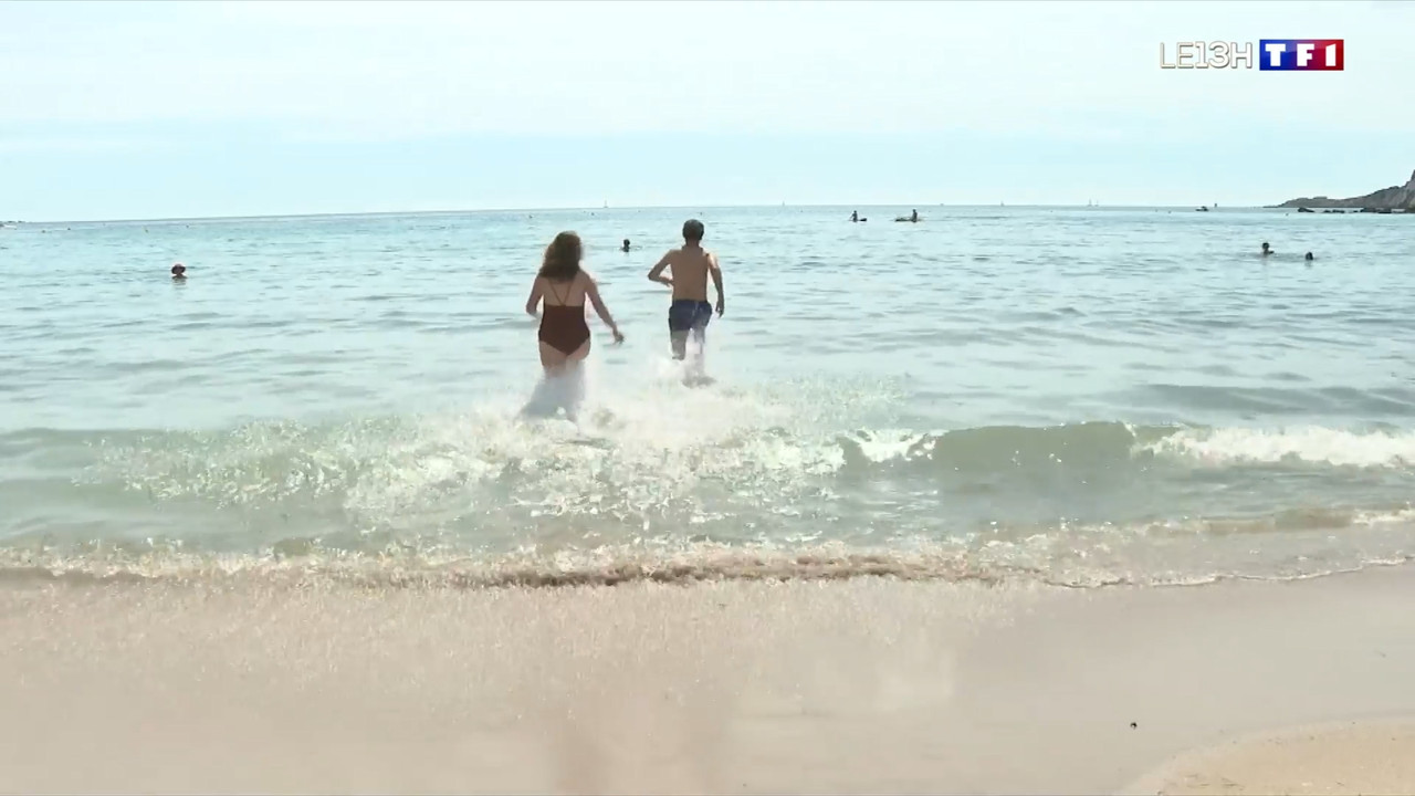 2021-06-11_13_00_TF1_Le-13h.mp4_snapshot_00.28.41.792