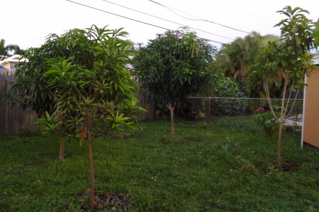 Yard_zps0a2a0d54