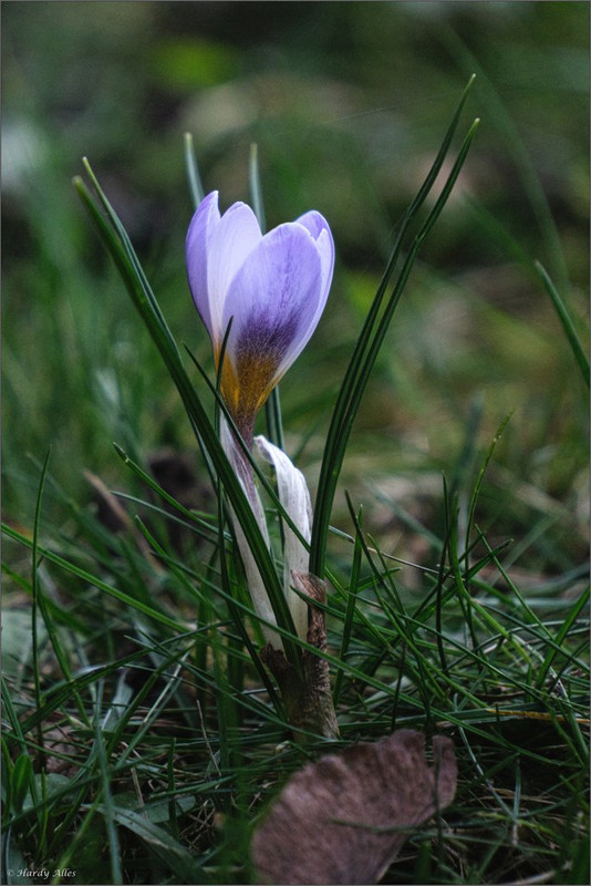 XT5A3712 2025 SB Molschd LR ERWZ FB