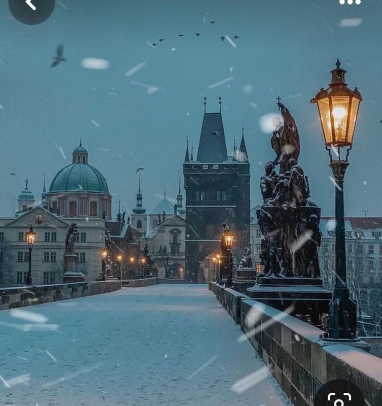 Screenshot_20231217_190939_Pinterest