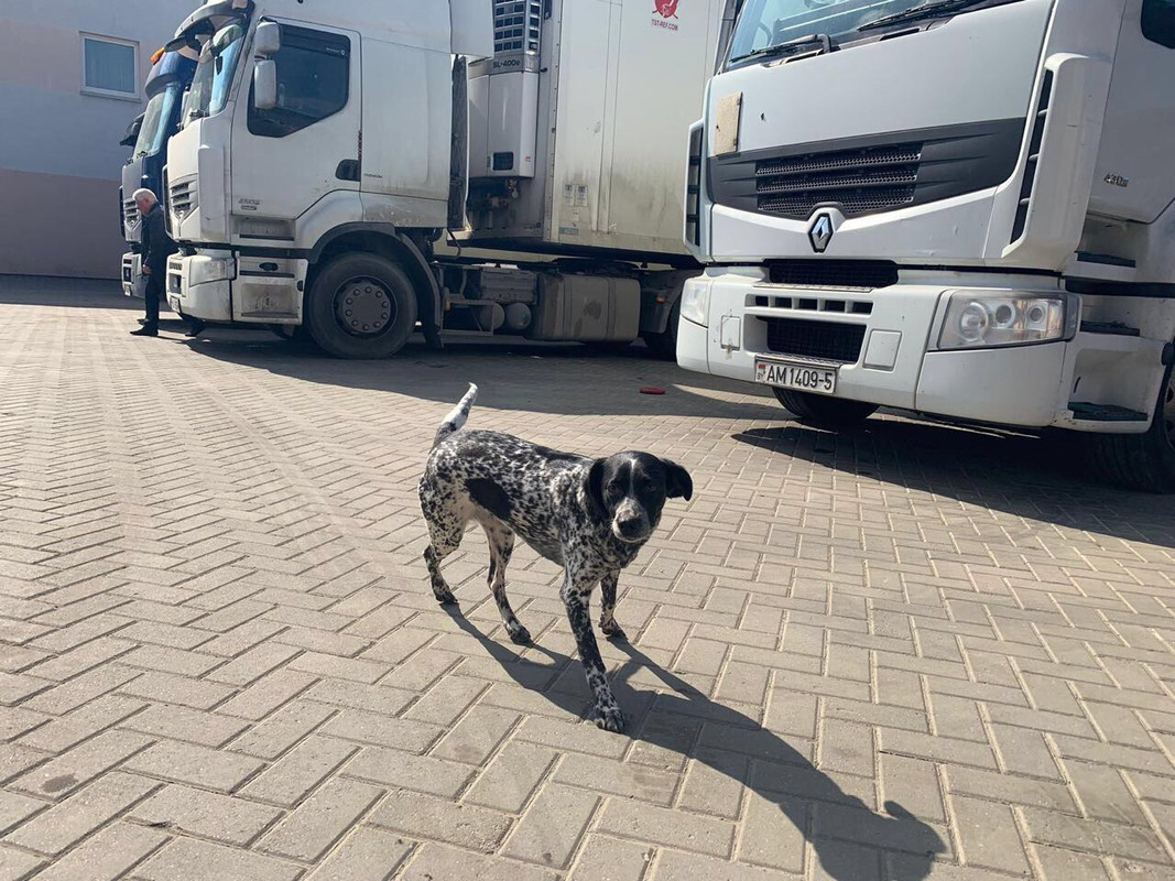 7A3C7C42-47F3-48B9-A1B5-5DA24B23DEB3