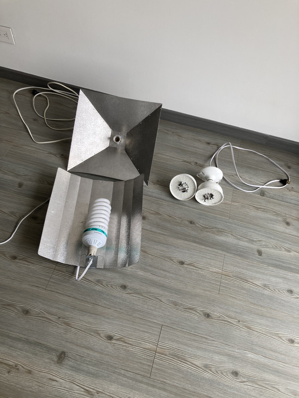 9C16E26F-03DA-4772-B55B-63BA62AC81DD