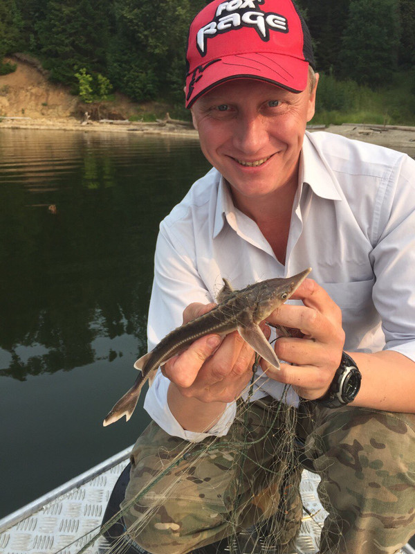 DSCN8791 (2) сеть