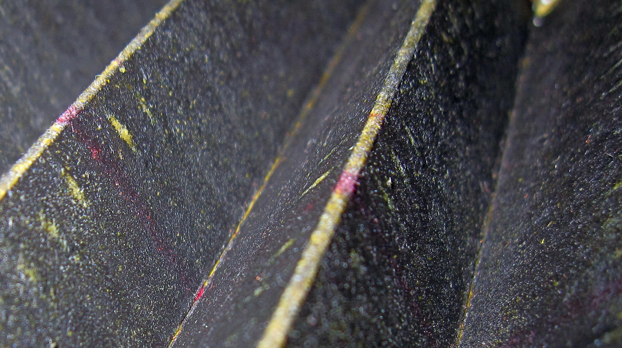 Фильтр, пробег 41 тыс. - 3