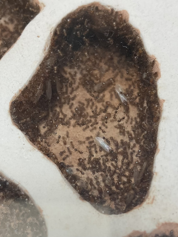 0220B04F-EE6B-4CA9-AE36-0D4160AB9856