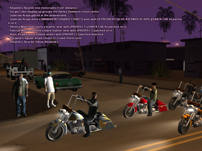 SSRoleplay536.png