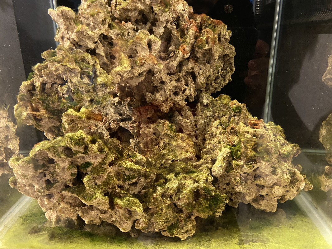 CE384F1A-6AE6-47DD-9EED-4E46A8F8371C