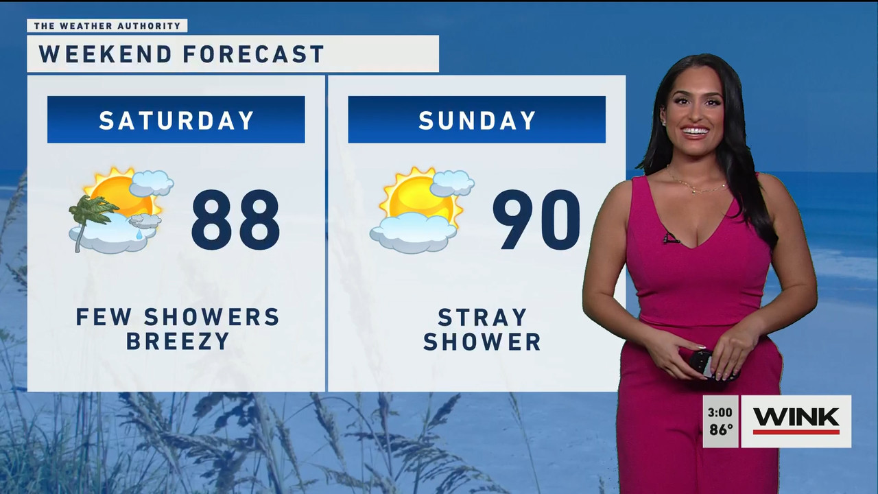 03.24 - 19.00.00 - WINK News at 3pm  ᴺᵉʷ..ts_snapshot_00.01.28.763