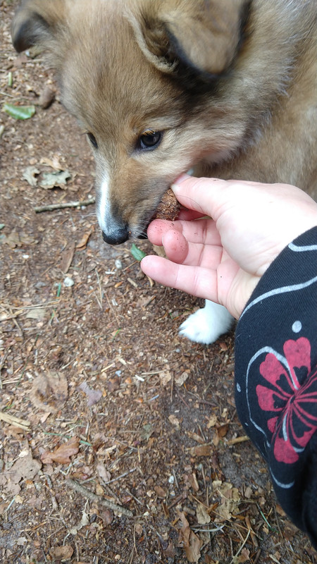 IMG_20210827_114940604