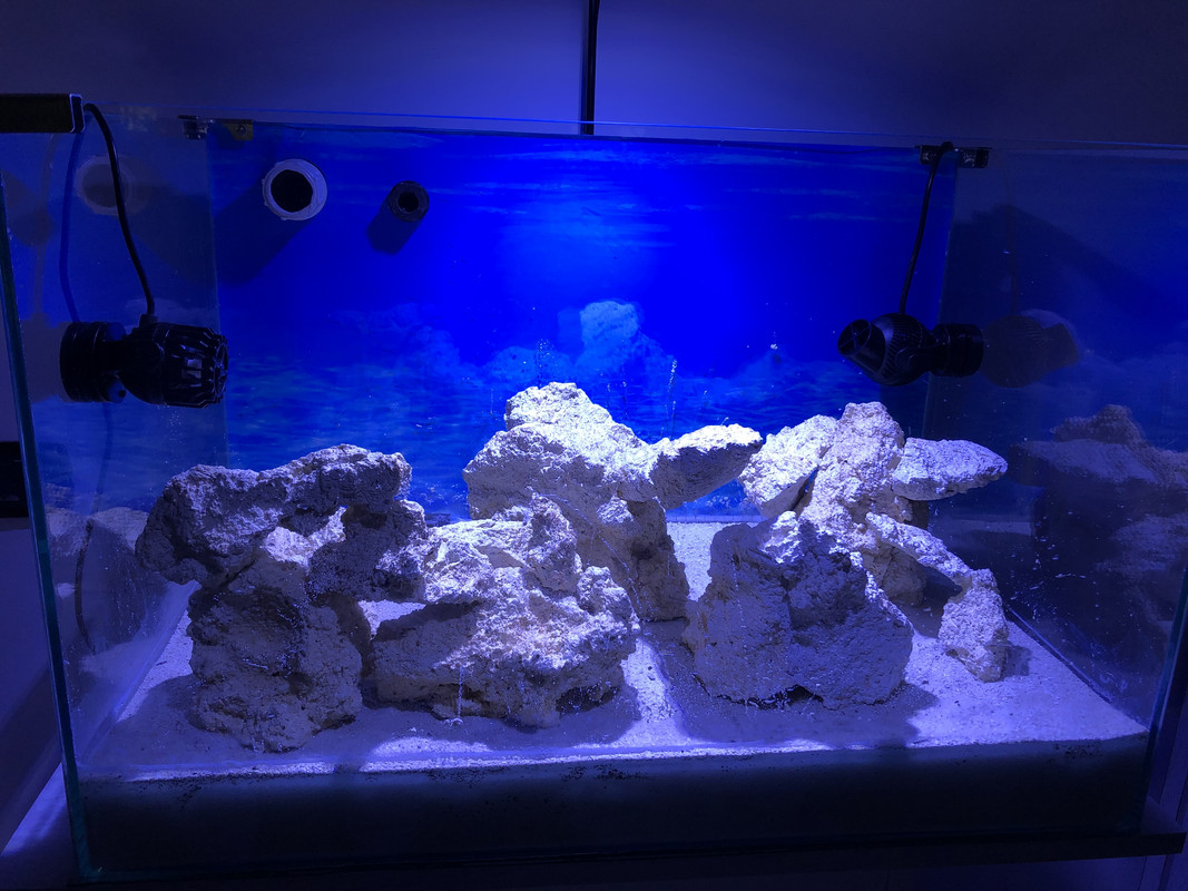 2C16FCF9-7DC0-48AB-B5A7-C0F3FD84F264