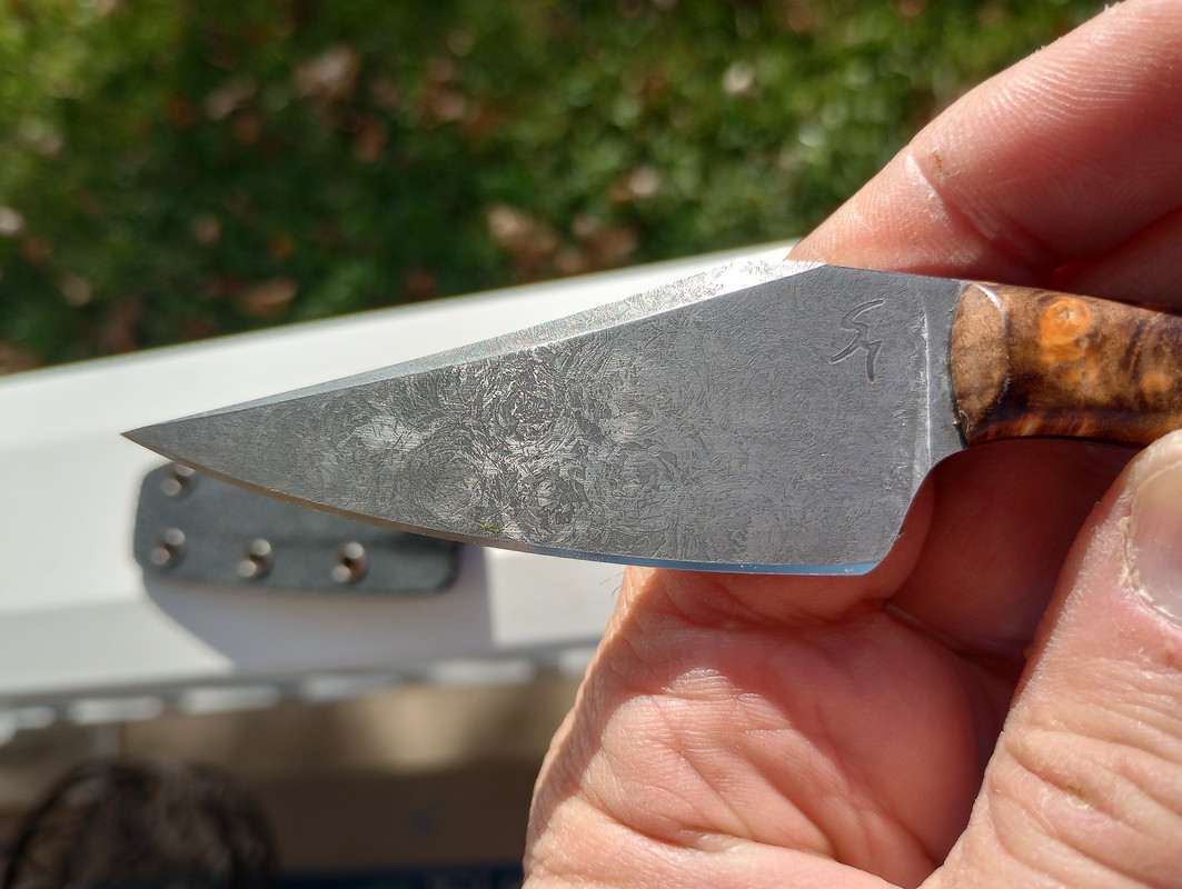 IMG_20231120_122859728_HDR