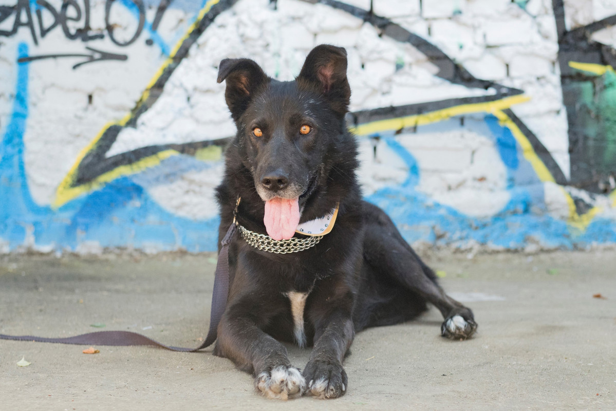 12-35-43-gx8VlOnnook