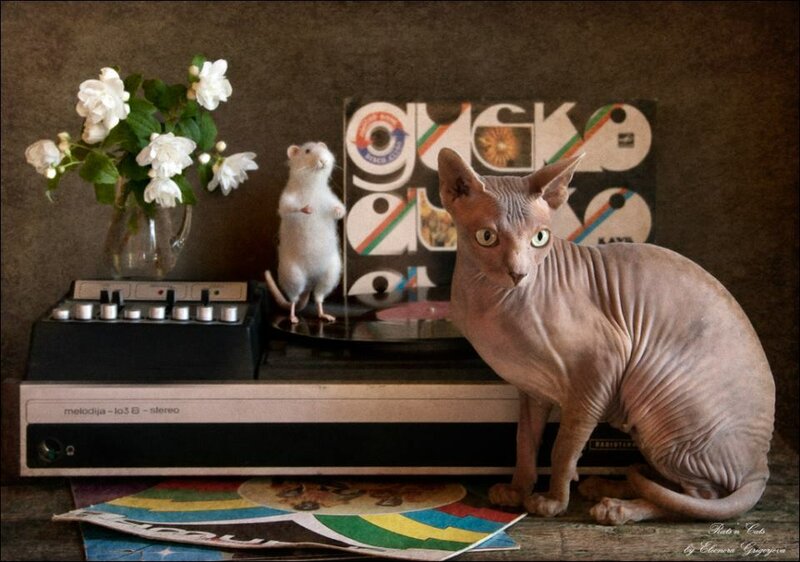 11659567-583441881759279-2684807178981980002-n