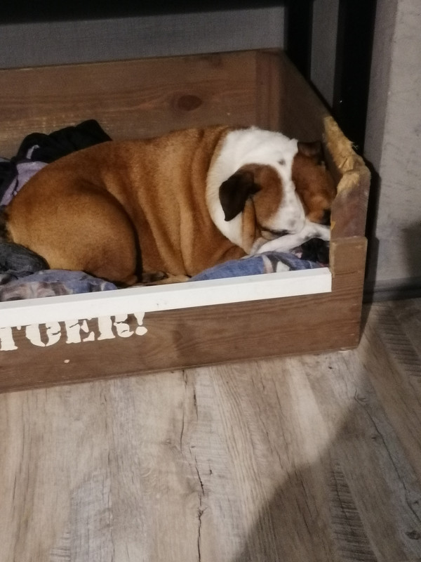 [Image: IMG-20191122-195023.jpg]