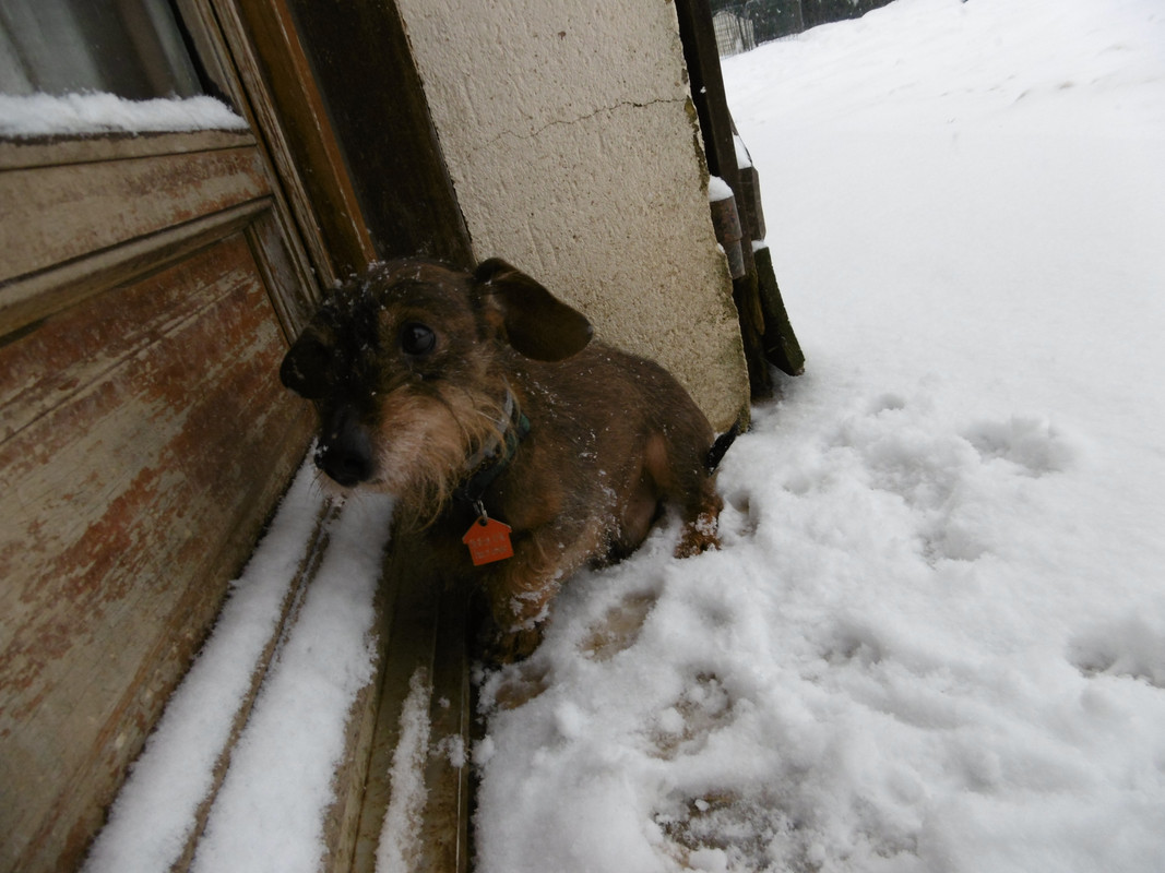 [Image: 180213053101595436.jpg]