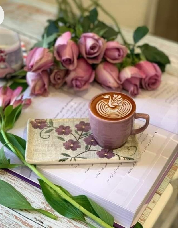 Screenshot_20230211_152220_Chrome