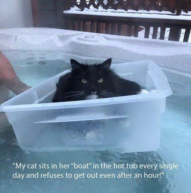 thumbs-EMOK-Picdump-700-044.jpg