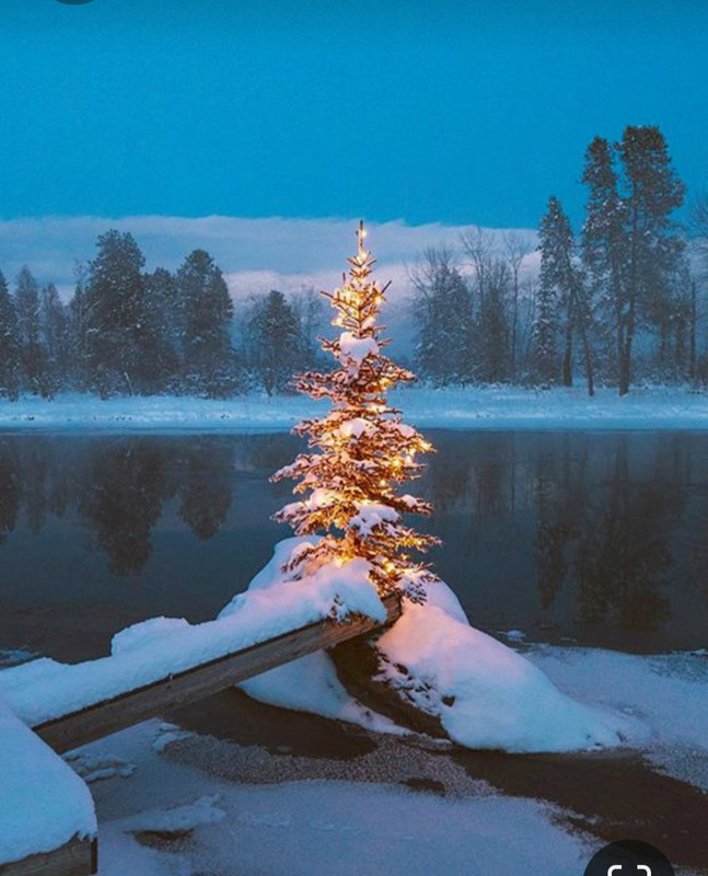 Screenshot_20231010_233951_Pinterest