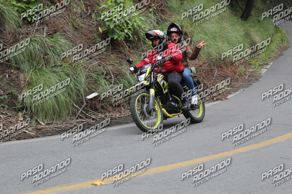 IMG 0010 wm 2291889 8 watermarked — Postimages