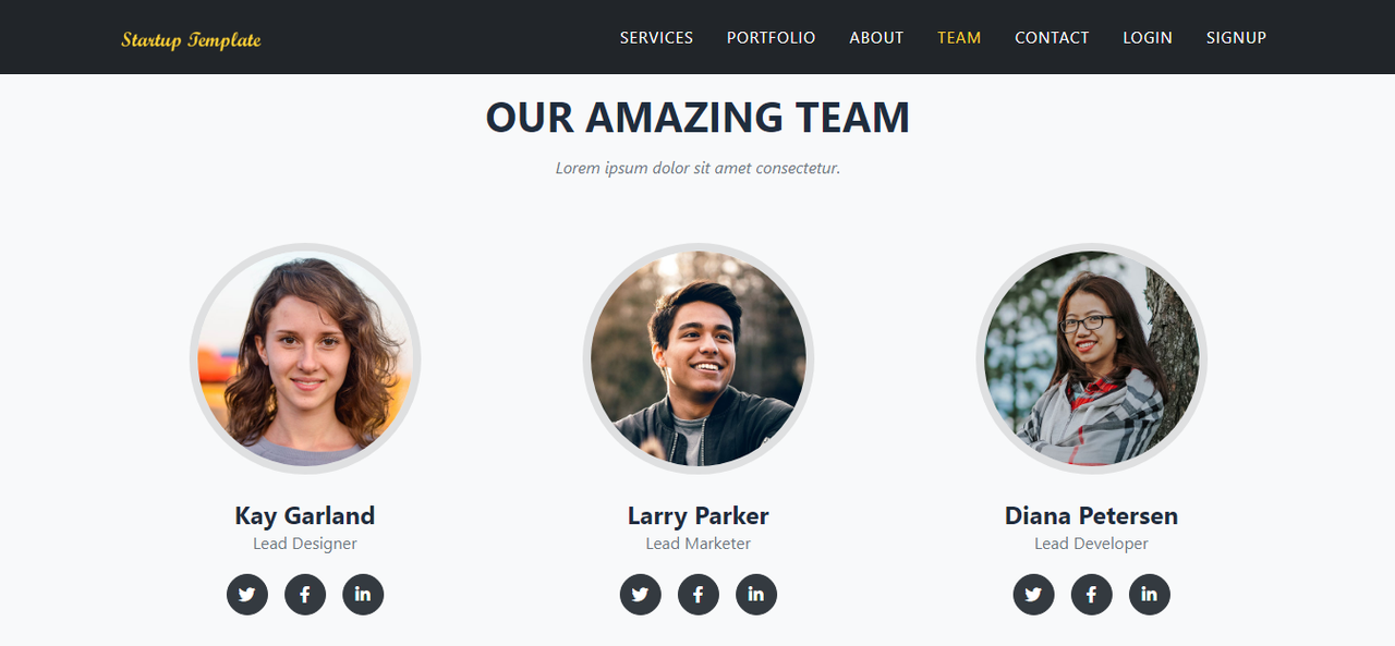 AgencyST - Angular 15 / .Net 9 / Startup Template - Admin Panel & Stylish Home Page