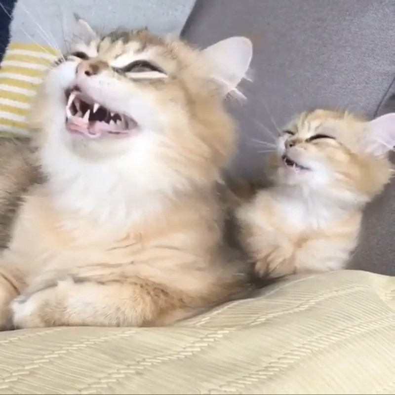 ECF20D92-5286-426E-BBA2-52CDAA7B2438