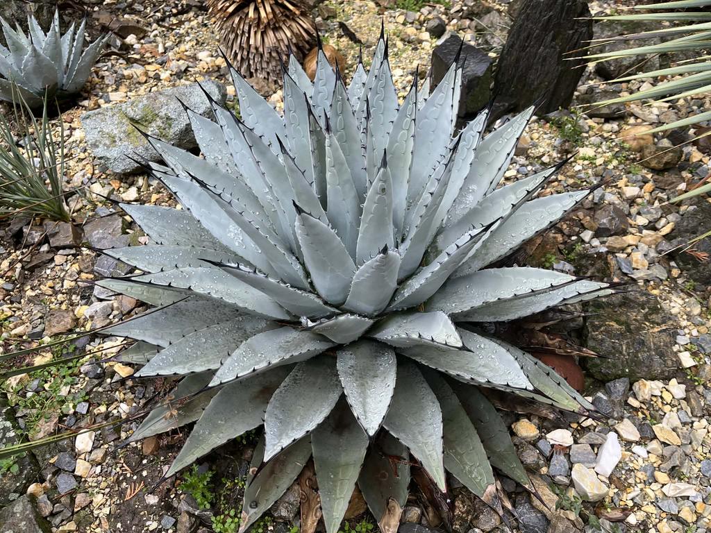 d9aee52b 092f 4c28 9213 16742e62a7f5