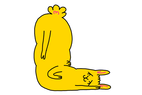 IMG-2722.gif