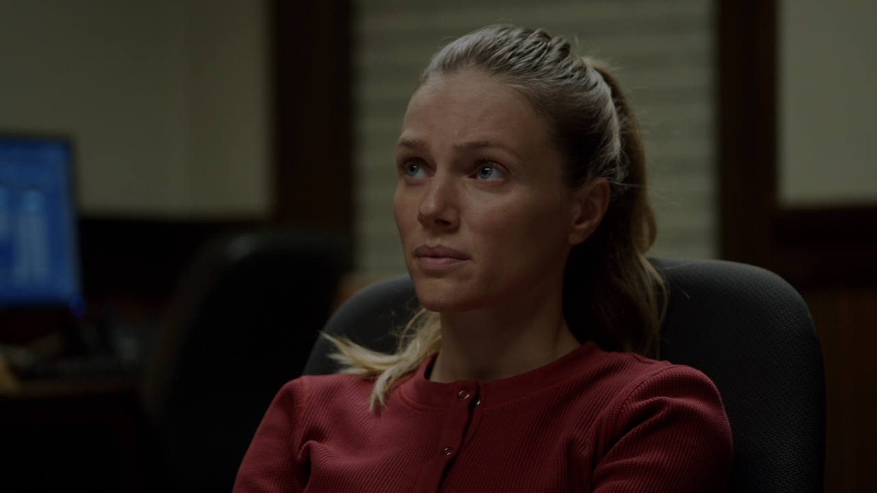 Chicago P.D. (2014) Season 9 S09 (1080p AMZN WEB-DL x265 HEVC 10bit DDP 5.1 Vyndros)