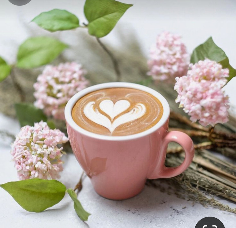 Screenshot_20230905_010744_Pinterest