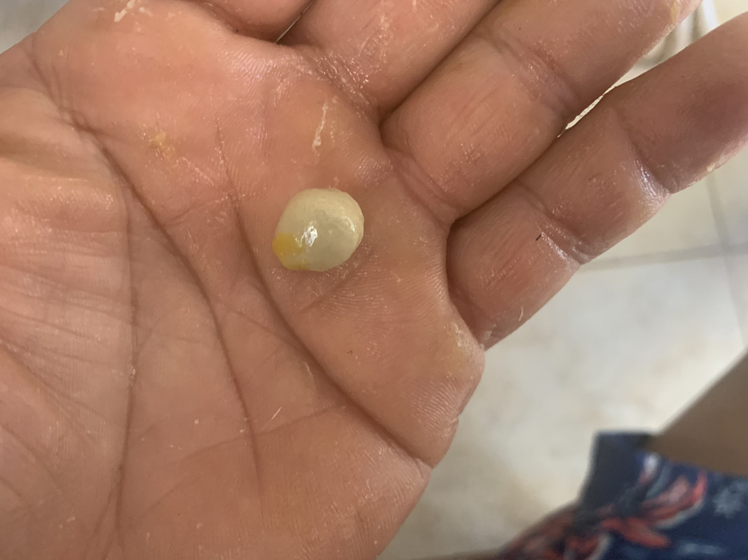 2C66E578-C3A2-409E-BB7F-E44892DD2E96