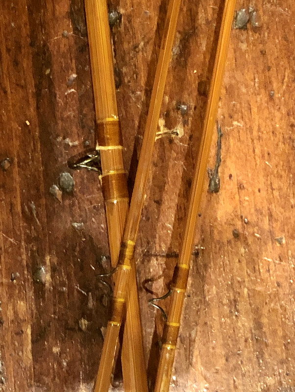 EE113E59-5EDE-4C4C-A5AA-2D9427B8A468