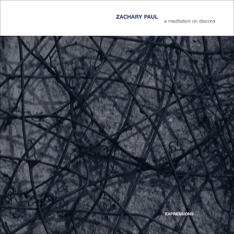 Zachary Paul - A Meditation on Discord (2019) .mp3 -320 Kbps