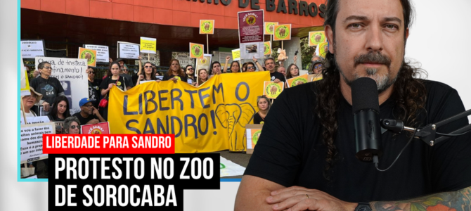 Ativistas veganos fazem protesto em frente ao zoo de Sorocaba pela liberdade do elefante Sandro