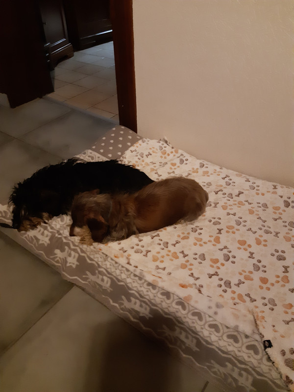 [Image: 20200121-174326.jpg]