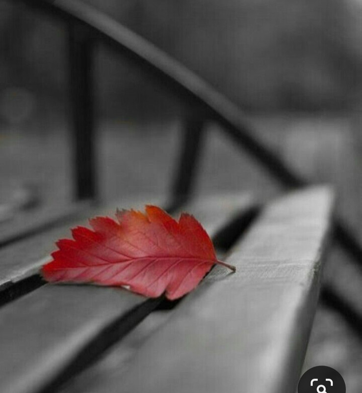 Screenshot_20230401_233529_Pinterest