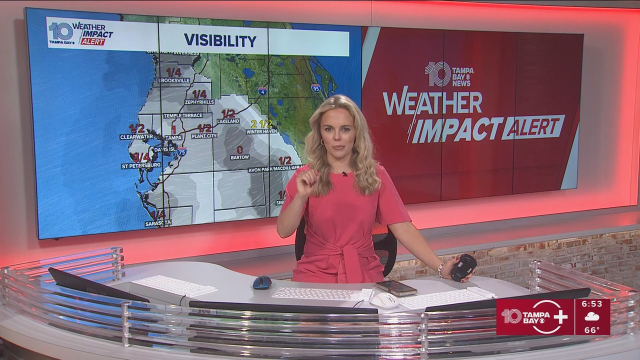 10 Tampa Bay News This Morning at 600 a m 20251124 11001200 ts snapshot 54 43 699