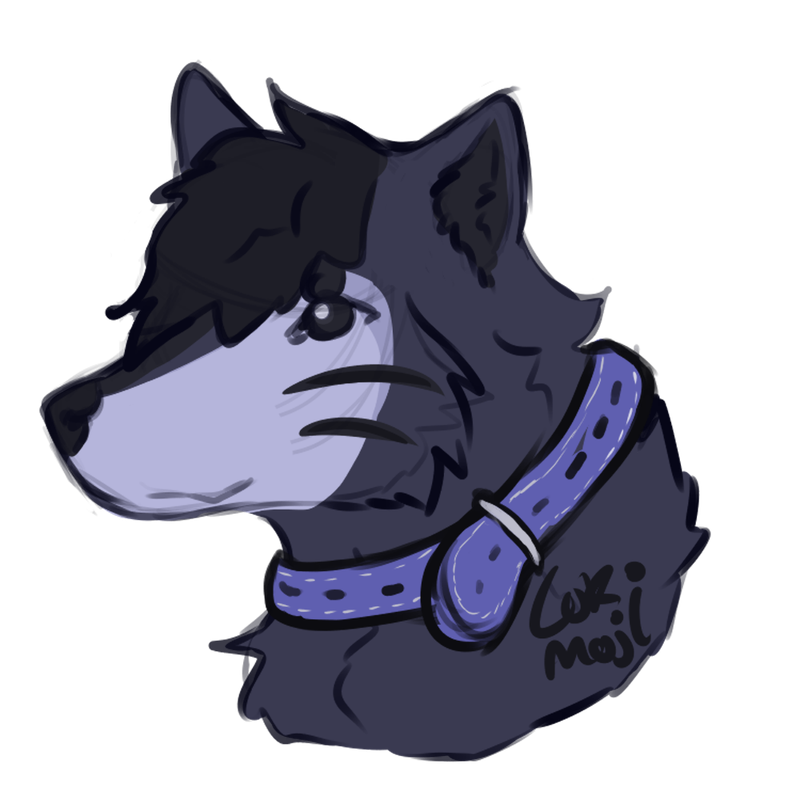 sketch.png
