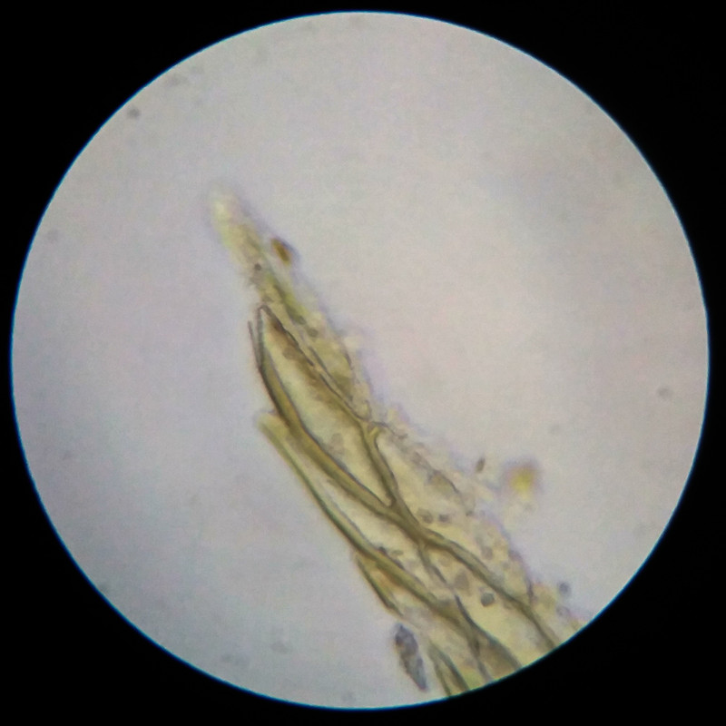 IMG 20250617 105359 HDR