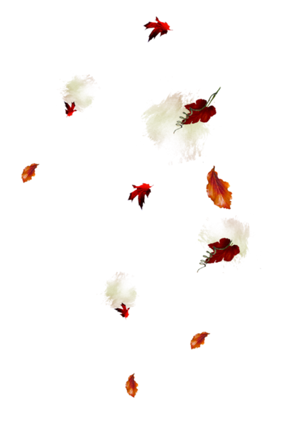 TADD_elements_ShimmerFall (17)