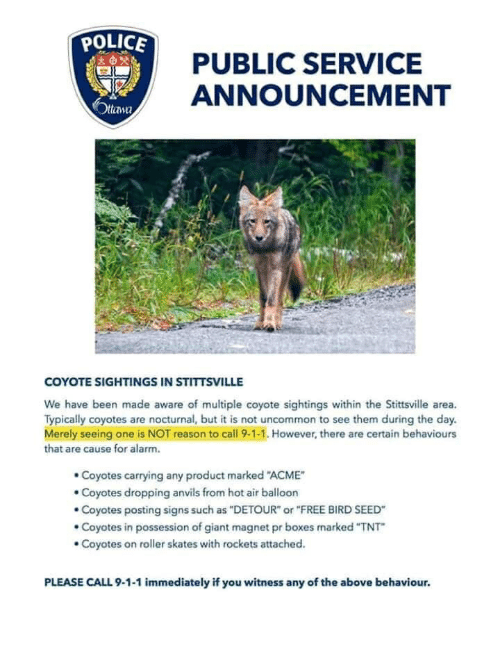 police-public-service-announcement-ottaw