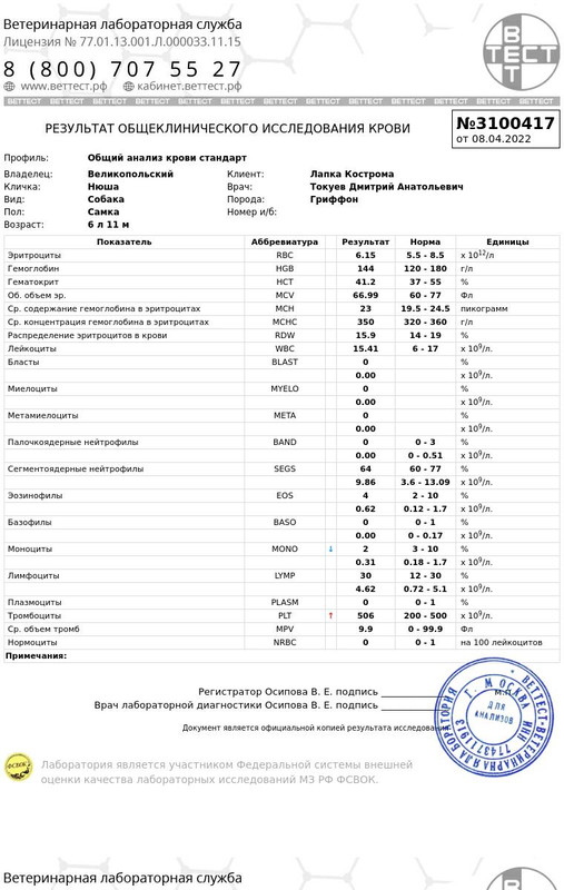 IMG-20220418-WA0013