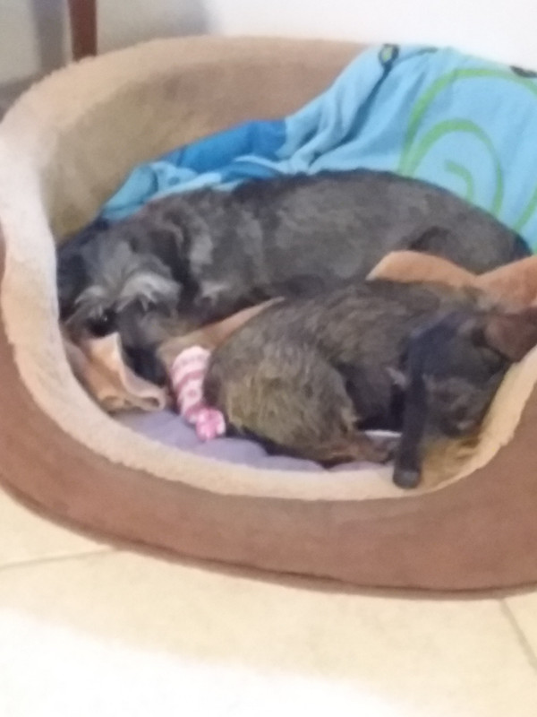 [Image: 20210901-190720.jpg]