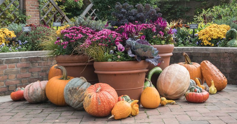 118648038-10158661677535699-1264664994484760300-n