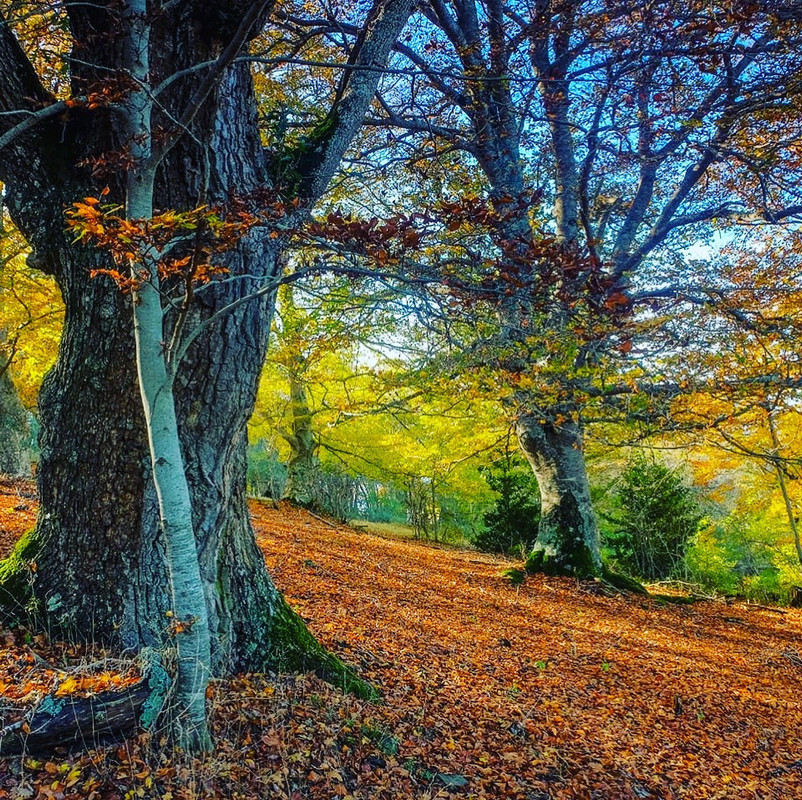 A42A3225-C887-4B97-994B-2DA325D6B6DA