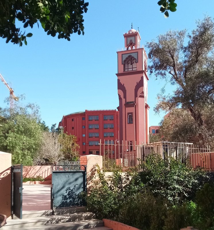 [Obrazek: IMG-20260221-094730-339.jpg]